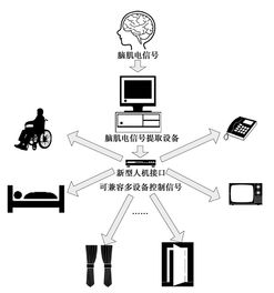 腦肌電多設(shè)備集成系統(tǒng)的接口硬件設(shè)計(jì)與信息系統(tǒng)集成服務(wù)